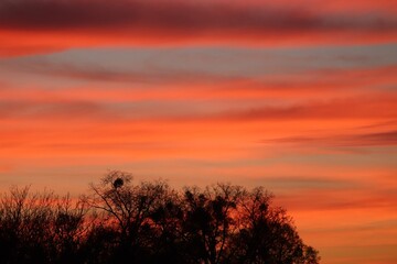 Fototapeta na wymiar oranger Abenhimmel mit Wolken und Bäumen