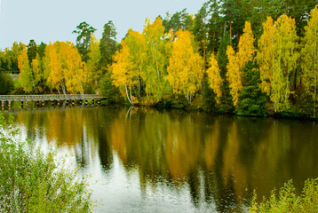 Fototapeta na wymiar autumn river and bridge over the river
