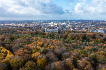 Obraz premium A walk through the Duisburg city forest in autumn