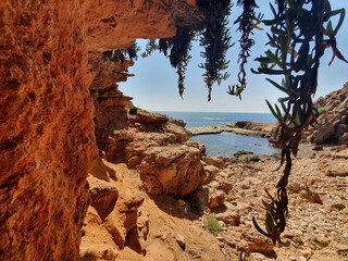 Vega Baja del Segura - Las calas de Torrevieja paisajes junto al mar	