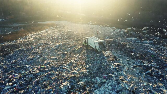 Aerial view of a city dump. A flock of birds is circling over the garbage dump. Garbage trucks unload garbage. Bulldozers crush rubbish and waste