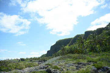 perspective mountains landscaping rock jungle tropical woodland