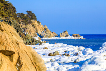 Far Eastern Marine Reserve. Rocky coast of the Sea of Japan. The grave pines of the marine reserve grow on sheer cliffs against the backdrop of the sea.