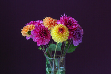 Dahlien