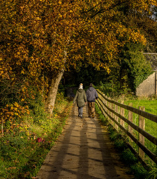 Autumn Colours In Roe Valley Country Park, Limavady, County Londonderry, Northern Ireland