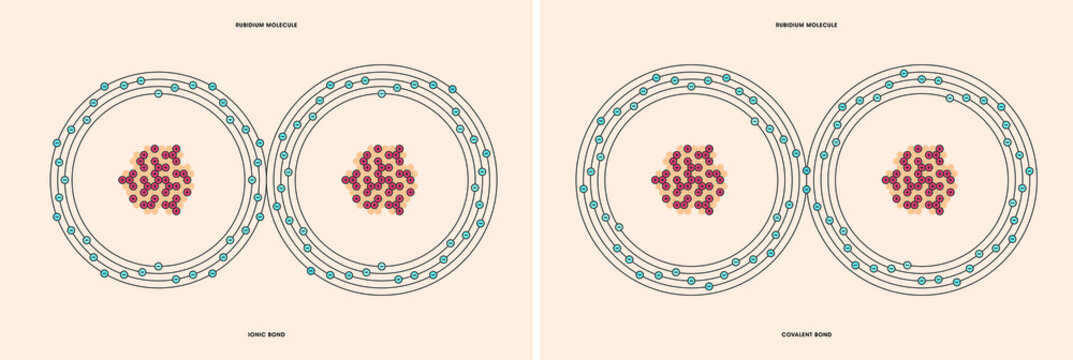Conceptual vector representation of a rubidium molecule, made up of two atoms, and the types of chemical bonds: covalent, atoms sharing electrons, and ionic, an atom gives an electron to another atom.
