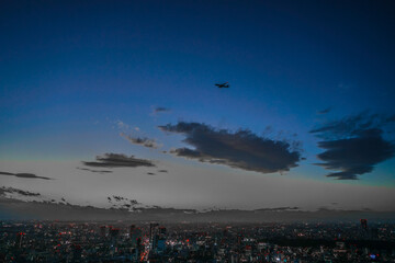 東京都心の夜景