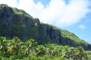 marble rock in wild nature forest jungle