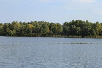 Scenery of lake in the forest