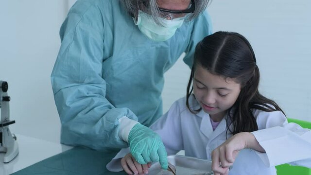 Education concept of 4k Resolution. Researchers are dissecting frogs in a lab. teaching students. physical examination.