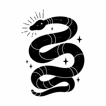 Vector black snake with mystical magic objects: moon and stars. Spiritual occultism symbols, tarot cards, esoteric objects.
