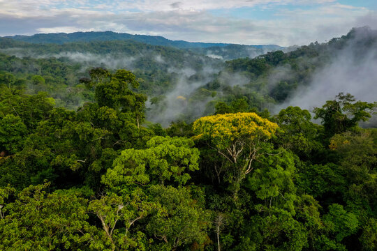 A mountain forest with the hills covered in fog and a beautiful cloudscape