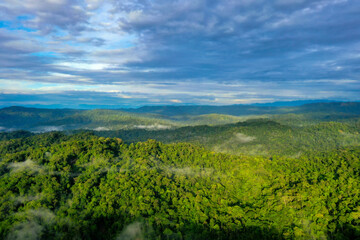 Tropical forest in the Amazon at the foot hills of the Andes in Ecuador: An aerial view with a beautiful blue cloudscape - Powered by Adobe