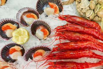 display with scallops (Chlamys varia) and carabineros (Aristaeopsis edwardsiana) on ice in a restaurant in Malaga. Spain - obrazy, fototapety, plakaty