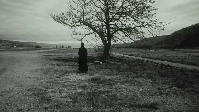 Dolly shot of scary woman in black dress approaches the tree