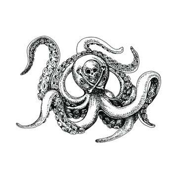 Octopus with a picture of a skull on its head. Abstraction. Black and white sketch. Handdrawn illustration engraved. Print poster for clothes, products, labels