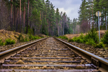 Fototapeta premium railroad tracks in the forest