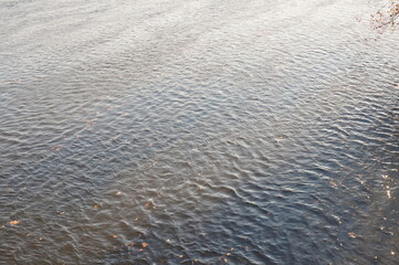 Rippling River Water with Scattered Fall Colored Leaves in Sunlight for Background