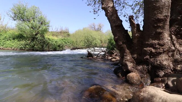 Water flows in a small waterfall in the lower Hermon River that flows in northern Israel - the Golan Heights. In an area called Hanio Eucalyptus in the settlement of Sde Nehemia.