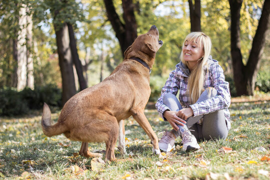 Positive young woman enjoying happy moments with her dog