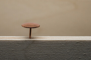 Copper nail driven into plywood on blurred light background
