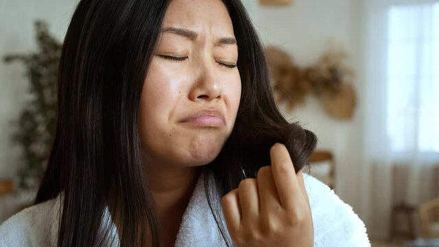 Hair care problem. Young desperate korean woman looking at split ends of her hair, feeling unhappy and horrible at home