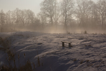 Bench in the fog