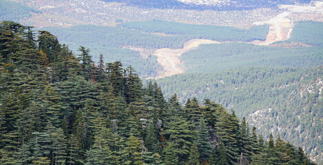 panorama of the mountains