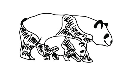 Obraz premium Pandas in doodle style. Isolated vector.