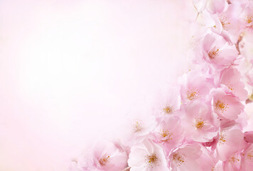 Fototapeta na wymiar Spring blossom, springtime pink flowers bloom, pastel and soft floral card, selective focus, shallow DOF, toned