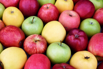 Mix of colorful harvested apple fruits from market, fresh ripe red, yellow and green apples on...