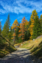 Fototapeta na wymiar Scenic landscape of Seceda area in the Dolomites, Italy, Europe