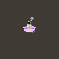 A sad pug sits in a basin after a walk and dreams of a bone with a ball