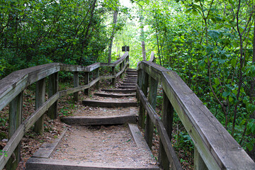 Obraz premium wooden stairs in the woods