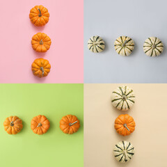 Different ripe pumpkins on color background
