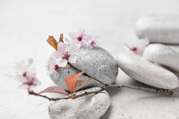 Obraz na płótnie Canvas Spa stones with blossoming branch on white background, closeup