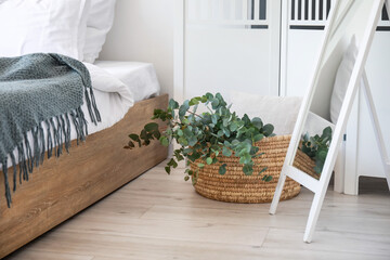 Basket with green eucalyptus branches on floor in bedroom