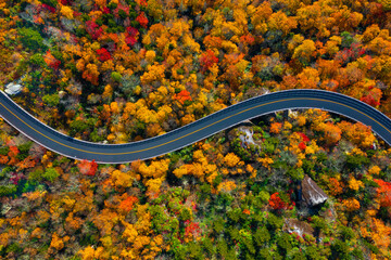 Blue Ridge Parkway in North Carolina in Fall colors. Looking straight down at the road. - obrazy, fototapety, plakaty