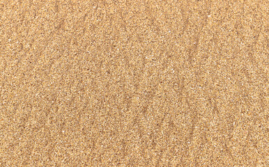 Tropical Sand Texture Background