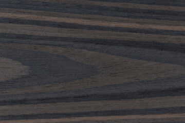 Fototapeta premium Texture of Exotic Grey Wenge Wood veneer