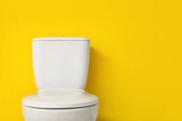 Modern toilet bowl near color wall
