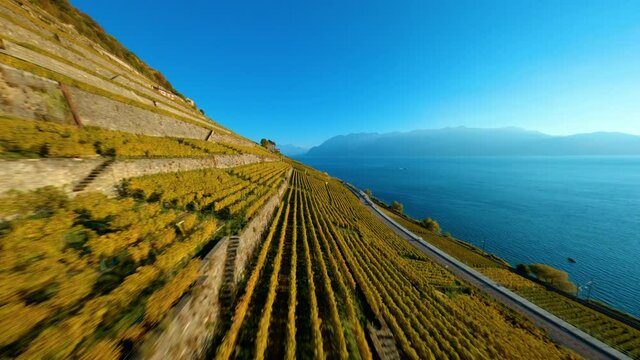 Wine Terraces over Lake Geneva, Lavaux vineyard, near Lausanne, Canton of Vaud, Western Switzerland - drone FPV