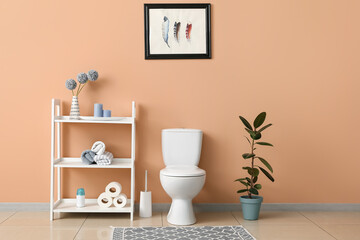 Interior of restroom with toilet bowl and shelving unit