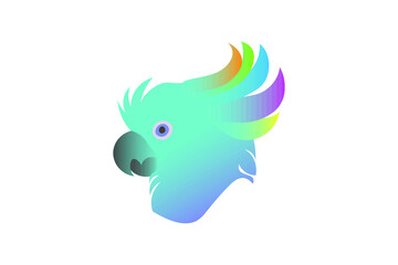 colorfull bird logo