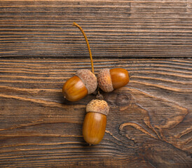 Oak acorns on wooden background
