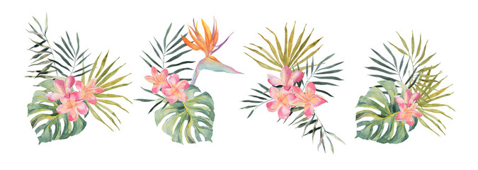 Strelitzia, plumeria, monstera, palm leaf. Watercolor Hand drawn botanical illustrations set. Isolated on white background. Summer beach print. For design, textiles, wear.