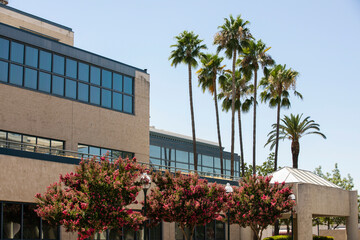 Daytime view of the skyline of Merced, California, USA.