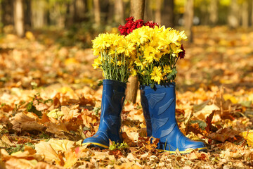 Pair of rubber boots with flowers in autumn park