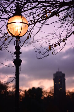 Hyde Park Pink Sunset