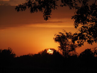 Sun setting behind trees producing an orange sunset in Wichita, Kansas.